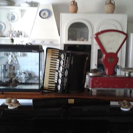 Domusmea غونيسا
